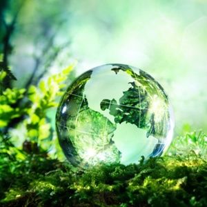 CIRCULAR ECONOMY: My environmental engagement